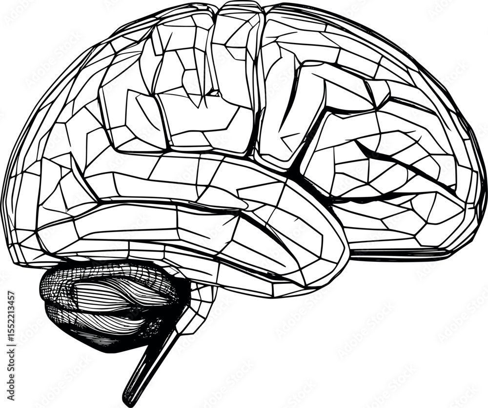 Poster human brain wireframe outline render abstract vector concept for intelligence and tech