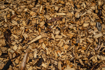 natural wood chips mulch background texture in outdoor park, shredded bark ground cover for...