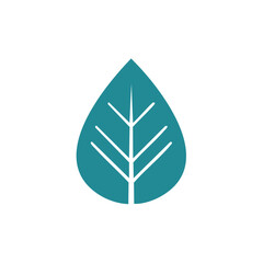 Isolated Teal Leaf with Veins on Black Background. Symbol of Nature, Growth, Simplicity, and Minimalist Design