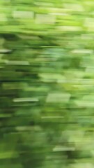 Blurred Green Vegetable Slices as Abstract Background