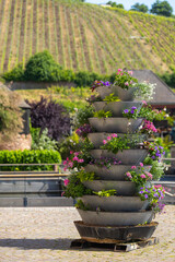 the decked flower pot on the street, outdoor, Alsace, France
