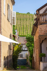 a glimpse of the grape field on the mountain from old town street, Alsace, France