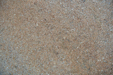 wood sawdust background, fine sawdust, surface from above, woodworking waste