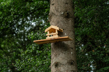 wooden bird feeder attached to tree trunk in green forest park natural background concept of backyard wildlife care handmade feeder eco friendly outdoor decoration forest birds feeding station
