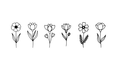 Elegant Stem Florals. A refined horizontal floral arrangement with strong vertical stems and curving petal details, perfect for logos or elegant prints.