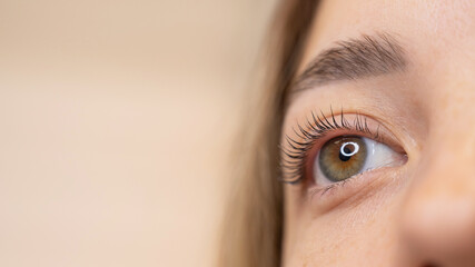 Close-up of a woman's eye after eyelash lamination procedure. 