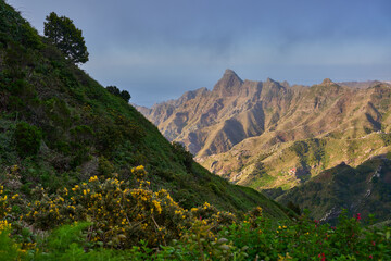 Roque de Taborno in morning light