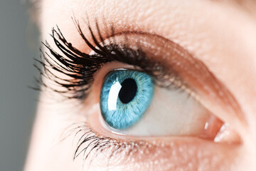Closeup view of woman with blue eyes on grey background