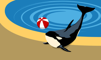 Flat vector illustration of a playful orca with a red beach ball near a swimming pool. Bright and minimal summer concept with marine animal character
