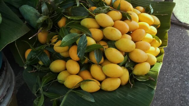 Fresh ripe Marian plums stacked at market stall for sale in Bangkok, Thailand. Farm to market freshness. Maprang or Gandaria fruit. Healthy organic diet food