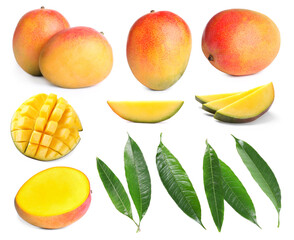 Sweet mango fruits and green leaves isolated on white, set