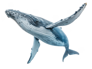 Blue wrist watch png analog watch png classic timepiece png round watch png men�s watch png fashion accessory png transparent background image