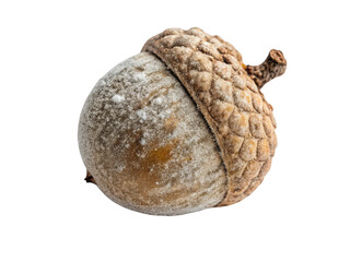 Ab roller wheel png fitness roller png abdominal trainer png core strength tool png gym wheel png workout accessory png transparent background image