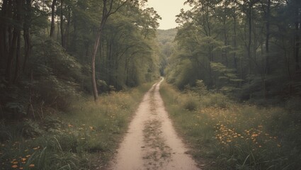 The Path In The Middle Of Nature with Empty Copy Space For Text