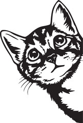 Adorable Cat Face Sketch in Black and White Vector Style
