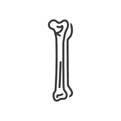 Minimalist Bone Icon: Anatomical Outline on White Background