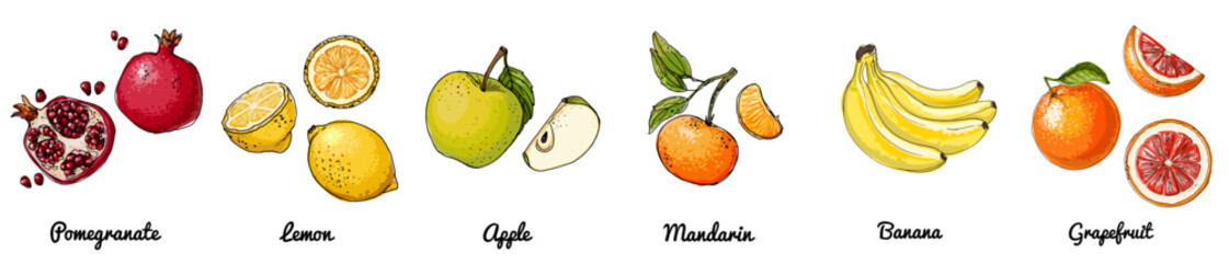 Hand Drawn Vector Set of Fruits – Pomegranate, Lemon, Apple, Mandarin, Banana, Grapefruit