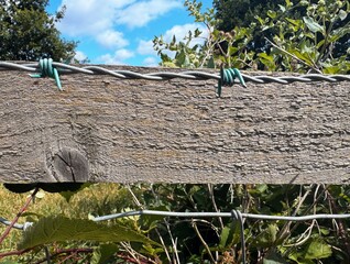 Barbed wire and wooden fence with foliage behind