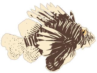 Striped Scorpionfish icon isolated on white background, profile view. Devil firefish or Pterois miles funny tropical fish logo, side view. Common lionfish sign, vector flat design eps 10