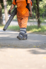 Worker uses leaf blower while cleaning pathway in a landscaped park on a sunny day