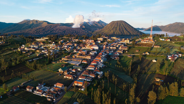 Volcanic views