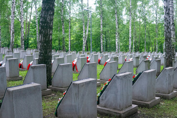 Tombstones in the cemetery in a birch grove.