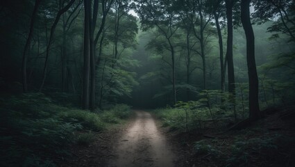 Fototapeta premium A trail leads through the lush forest at Fort Columbia State Park