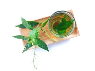 Sambiloto herbal tea (Andrographis paniculata) isolated on white background. Sambiloto leaves...
