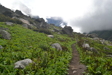 Valley of Flowers – A Blooming Paradise in the Heart of the Himalayas
