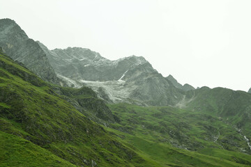 Fototapeta premium Valley of Flowers – A Blooming Paradise in the Heart of the Himalayas 