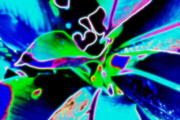 Electric color palette over organic abstract composition