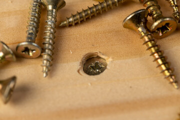 a board fixed with a screw in close up, the self-tapping screw is deeply screwed into the board