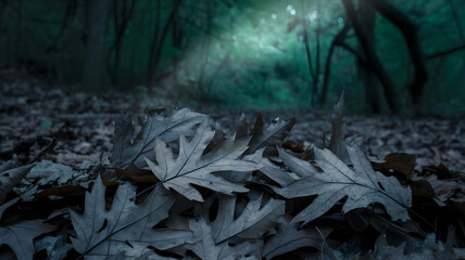 A close up view of a pile of dry, grayish leaves resting on the forest floor
