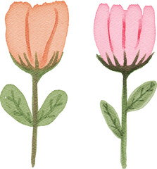watercolor flower nature plant decorative element for your design