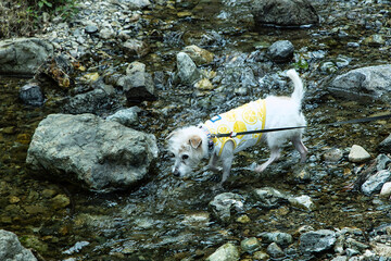 Playing in the River