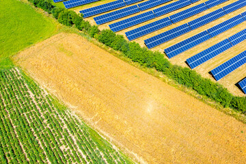 Photovoltaic modules on field in summer