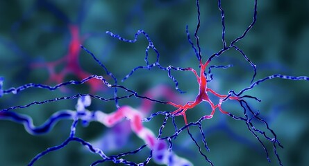 spider web with dew drops