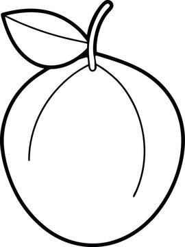 
Canistel Fruit Outline Vector Icon