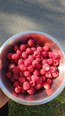 A vibrant bowl overflows with freshly picked, plump raspberries, radiating a mood of healthy indulgence and summer freshness.