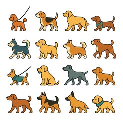 Different dog sizes and breeds icons in modern flat vector in minimalistic vibrant color design: small poodle on leash, medium-sized beagle, large golden retriever, dachshund in harness, husky