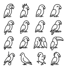 Obraz premium Tropical bird companions icons in minimalistic line art : macaw parrot, cockatoo with crest, sun conure, African grey parrot, ring-neck parakeet, green-cheeked conure, eclectus parrot, lorikeet