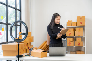 Woman Managing Small Business Inventory