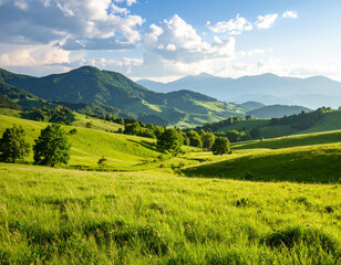 Obraz premium Lush Green Valley Meadow Under a Summer Sky with Distant Mountains