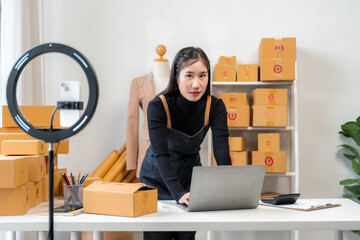 Asian Woman Entrepreneur Working at Home