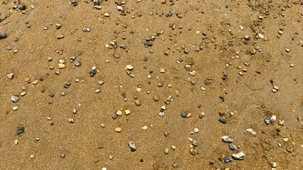 Stony Beach