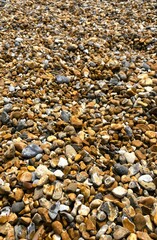 Stony Beach