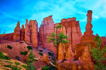Bryce Canyon Hoodoos Pine Trees and Hikers on Peekaboo Loop Trail Under Blue Sky