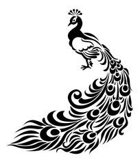 Graceful Peacock Silhouette: An elegant peacock, rendered in a sleek black silhouette, showcasing its majestic plumage with intricate detail and artistic flair.