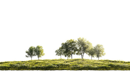 Obraz premium trees isolated on white background