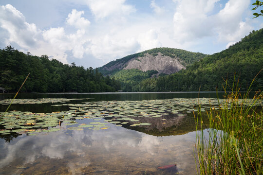 Nestled in the corner of Fairfield Lake in Sapphire, NC, reflections of Bald Rock with lily pads.